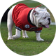 UGASports.com