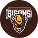 UM Bisons Hockey