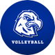 Calhoun Volleyball