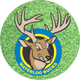 Waterloo Bucks