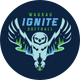 Wausau Ignite Softball