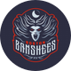 Boston Banshees
