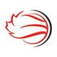 Wheelchair Basketball Canada
