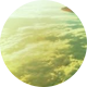 wmason
