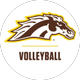Western Michigan Volleyball