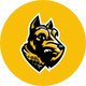 Wooster Fighting Scots