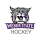 Weber State Mens Ice Hockey Team