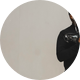 LaMark Wylie Jr