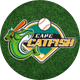 Cape Catfish