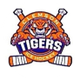 Clemson Ice Hockey