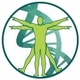 Elite Wellness