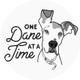 One Dane at a Time, Inc.