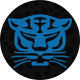 Birmingham Panthers Netball