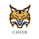 quinnipiac_cheer
