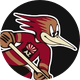 Tucson Roadrunners