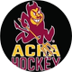 sparkyhockey