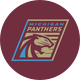 Michigan Panthers