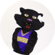 TK Panther