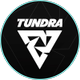 Tundra Esports - Dota 2
