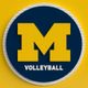 Michigan Volleyball