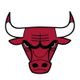 Chicago Bulls
