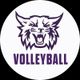 Weber State Volleyball