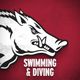 Razorback Swimming & Diving