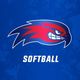 UMass Lowell Softball