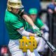 Notre Dame Baseball
