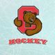 Cornell Men’s Ice Hockey