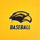 Southern Miss Baseball