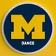 Michigan Dance Team
