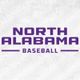 North Alabama Baseball