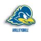 Delaware Volleyball