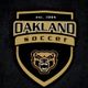 Oakland Women's Soccer