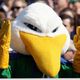 Endicott Athletics