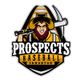 Edmonton Prospects