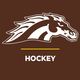 WMU Hockey