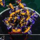 San Diego Seals
