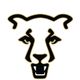 UCCS Men's Basketball