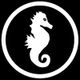 Seahorse Cases