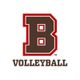 Brown Volleyball