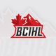 British Columbia Intercollegiate Hockey League