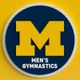 Michigan Gymnastics 🏆