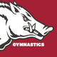 Arkansas Razorback Gymnastics 🐗