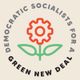 DSA for a Green New Deal🌱🌹⚡️