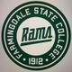 Farmingdale State College Hockey