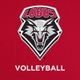 New Mexico Volleyball