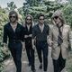 The Struts