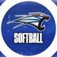 🥎SAINT FRANCIS SOFTBALL🥎